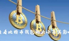如何查看比特币钱包的大