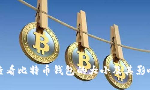 如何查看比特币钱包的大小及其影响因素