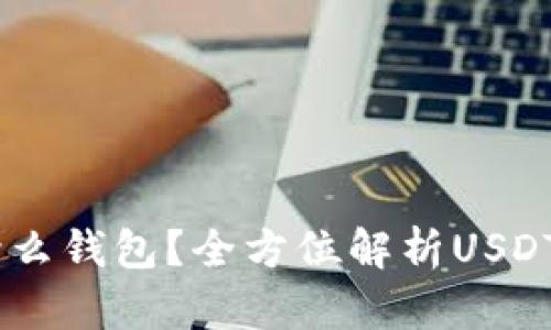 存放USDT用什么钱包？全方位解析USDT钱包选择指南