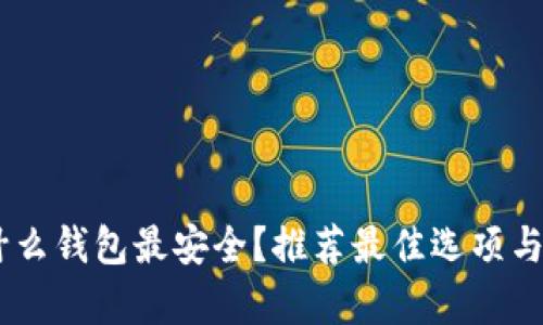 USDT放什么钱包最安全？推荐最佳选项与存储策略