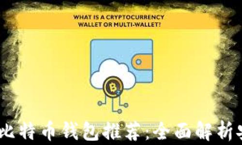 
2023年最专业的比特币钱包推荐：全面解析安全性与使用体验