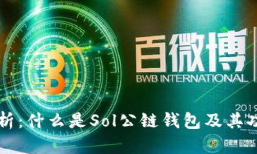 深入解析：什么是Sol公链钱包及其功能使用