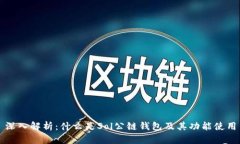 深入解析：什么是Sol公链