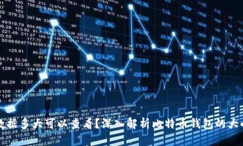 比特币钱包数据多大可以查看？深入解析比特币钱包的大小和存储需求