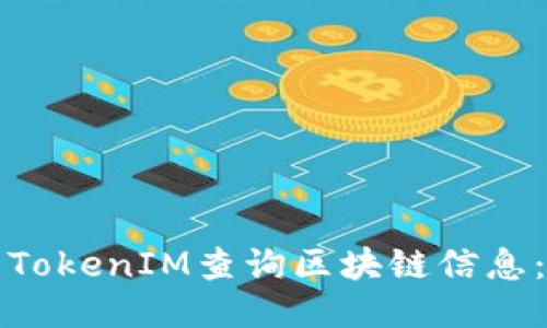 如何使用TokenIM查询区块链信息：全面指南