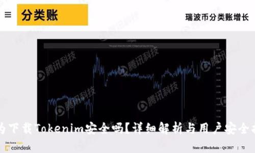 华为下载Tokenim安全吗？详细解析与用户安全指南