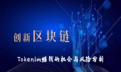 Tokenim赚钱的机会与风险分