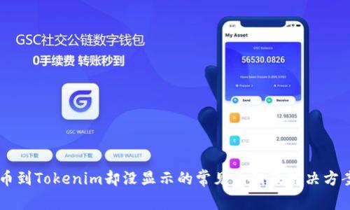 币到Tokenim却没显示的常见原因及解决方案