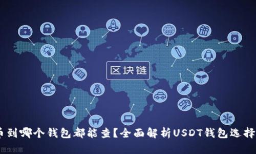 USDT提币到哪个钱包都能查？全面解析USDT钱包选择与安全性