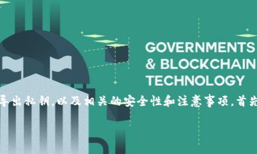 在这篇文章中，我们将详细探讨如何在Tokenim平台上导出私钥，以及相关的安全性和注意事项。首先，我们提供一个友好的和相关关键词。请参见以下格式：

如何在Tokenim平台上安全导出私钥