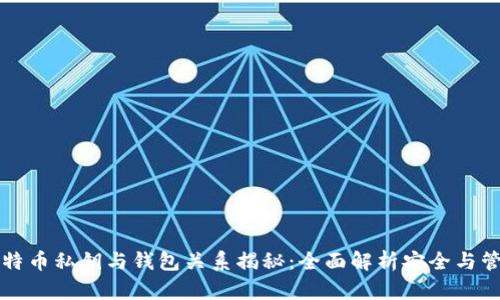 比特币私钥与钱包关系揭秘：全面解析安全与管理