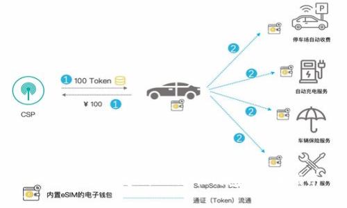 如何安全地复制比特币钱包：全面指南