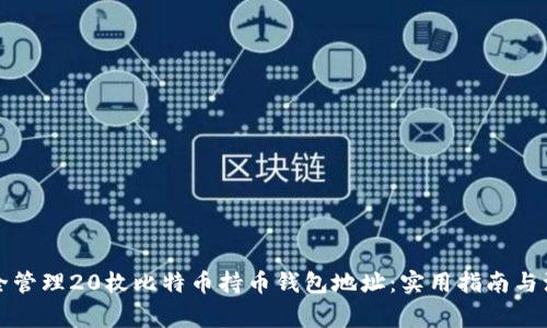 如何安全管理20枚比特币持币钱包地址：实用指南与注意事项