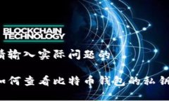 请输入实际问题的如何查看比特币钱包的私钥？