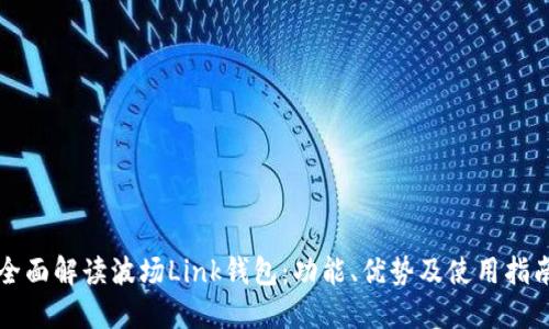 全面解读波场Link钱包：功能、优势及使用指南