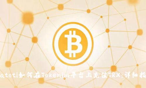 biatoti如何在Tokenim平台上充值TRX：详细指南