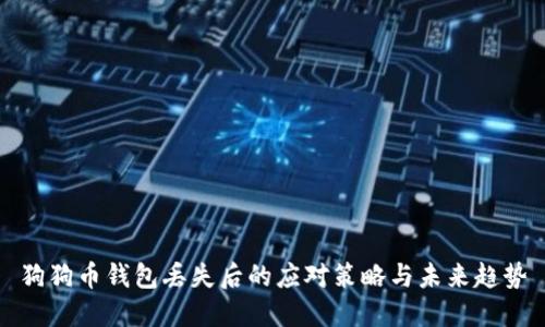 狗狗币钱包丢失后的应对策略与未来趋势