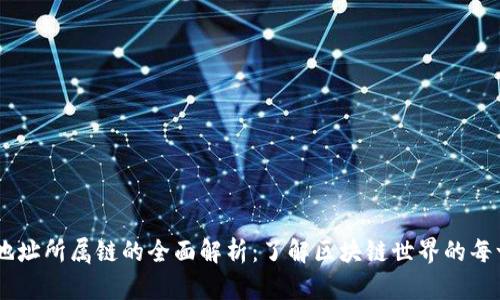 IM钱包地址所属链的全面解析：了解区块链世界的每一个角落
