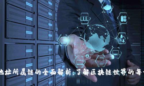 IM钱包地址所属链的全面解析：了解区块链世界的每一个角落