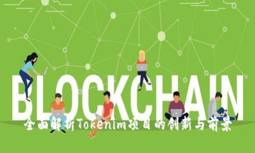 全面解析Tokenim项目的创新与前景