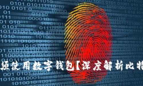 比特币是否必须使用数字钱包？深度解析比特币的存储方式