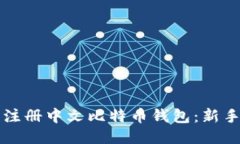 如何轻松注册中文比特币