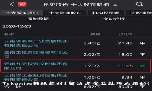 Tokenim转账超时？解决方案及技巧大揭秘！