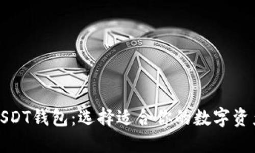 最安全的USDT钱包：选择适合你的数字资产保护方案