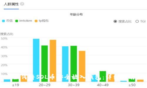 如何将SOL币安全放入钱包：详细指南
