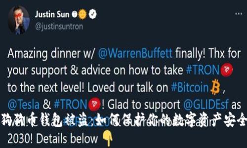 狗狗币钱包被盗：如何保护你的数字资产安全