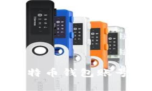有效找回比特币钱包账号的实用指南
