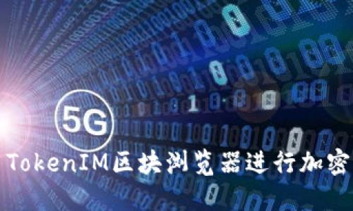 如何使用TokenIM区块浏览器进行加密货币查询