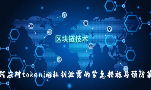如何应对tokenim私钥泄露的紧急措施与预防策略