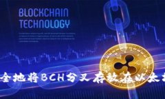 :如何安全地将BCH分叉存放