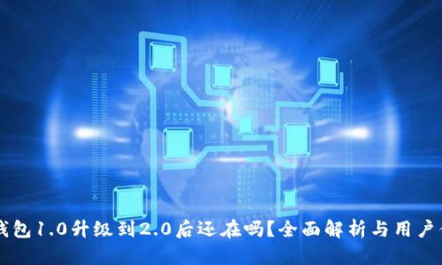 IM钱包1.0升级到2.0后还在吗？全面解析与用户体验