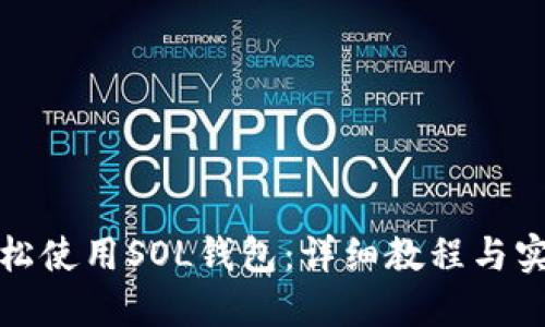 如何轻松使用SOL钱包：详细教程与实用技巧