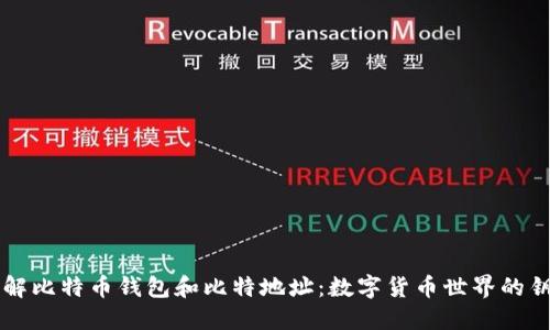 了解比特币钱包和比特地址：数字货币世界的钥匙