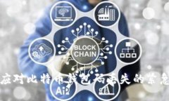 如何应对比特币钱包码丢失的紧急指南