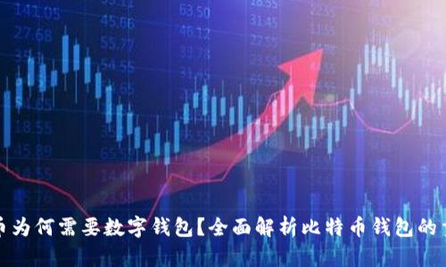 比特币为何需要数字钱包？全面解析比特币钱包的重要性