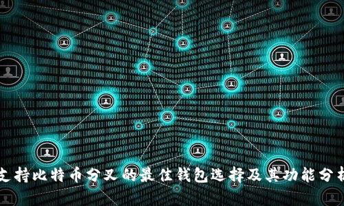 支持比特币分叉的最佳钱包选择及其功能分析