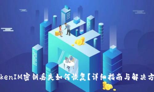 TokenIM密钥丢失如何恢复？详细指南与解决方案