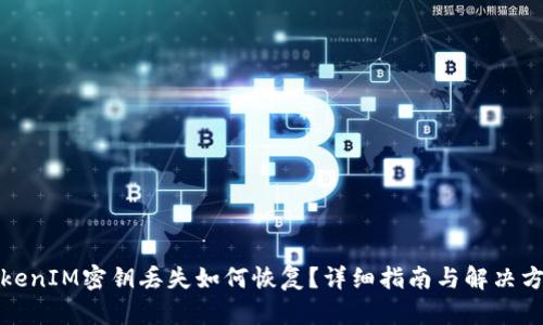 TokenIM密钥丢失如何恢复？详细指南与解决方案