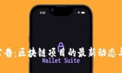 Tokenim公告：区块链项目的