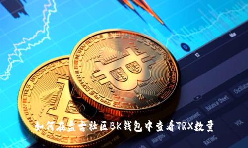 如何在盘古社区BK钱包中查看TRX数量