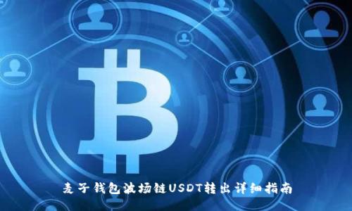 麦子钱包波场链USDT转出详细指南