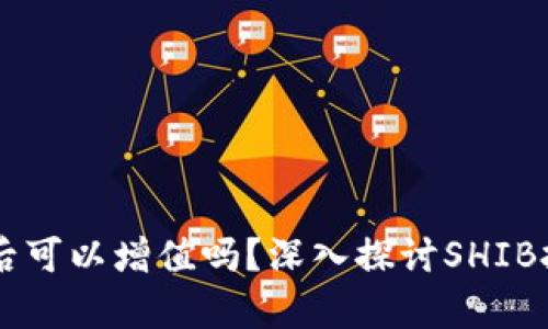 SHIB放入钱包后可以增值吗？深入探讨SHIB投资与存储策略