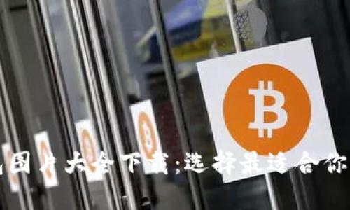 比特币钱包图片大全下载：选择最适合你的钱包图示