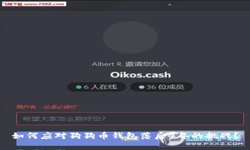 如何应对狗狗币钱包落后4年的挑战？