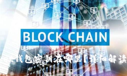 Token Pocket钱包密钥在哪里？详细解读与安全指南