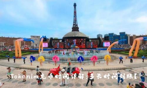 Tokenim充币时间详解：多长时间到账？